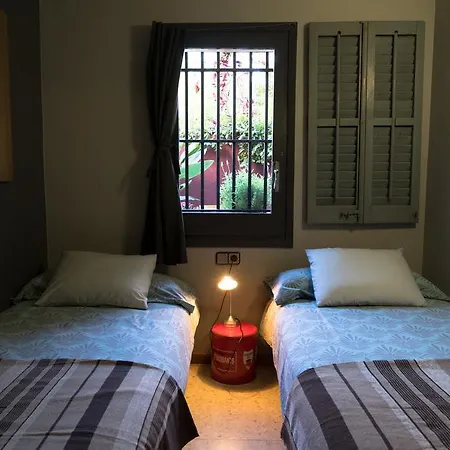 Apartament Orange Tree